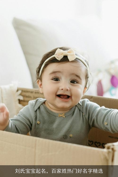 刘氏宝宝起名，百家姓热门好名字精选