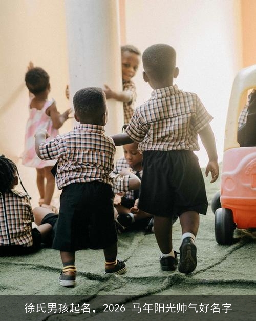 徐氏男孩起名，2026 马年阳光帅气好名字