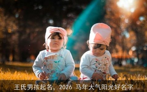王氏男孩起名，2026 马年大气阳光好名字