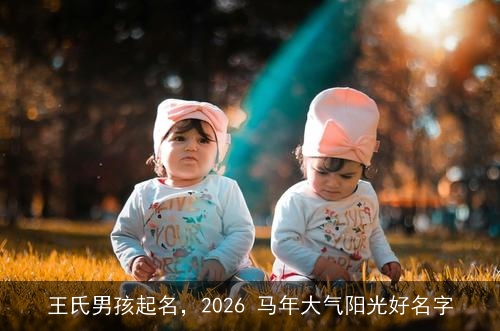 王氏男孩起名，2026 马年大气阳光好名字