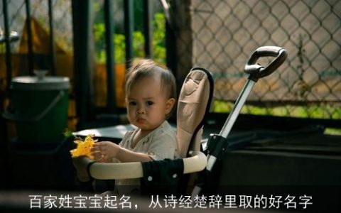 百家姓宝宝起名，从诗经楚辞里取的好名字