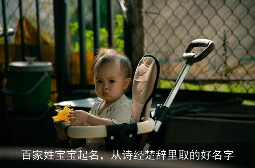 百家姓宝宝起名，从诗经楚辞里取的好名字