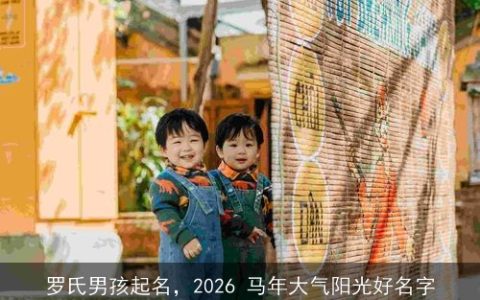 罗氏男孩起名，2026 马年大气阳光好名字