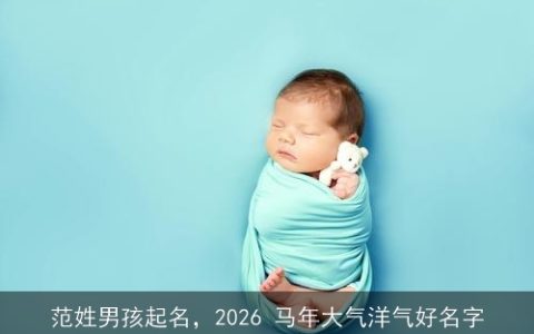范姓男孩起名，2026 马年大气洋气好名字