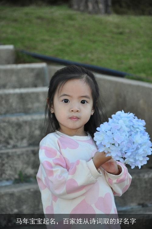 马年宝宝起名，百家姓从诗词取的好名字