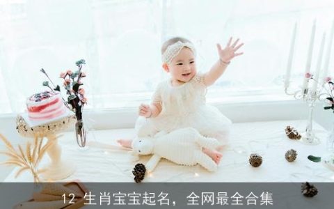 12 生肖宝宝起名，全网最全合集