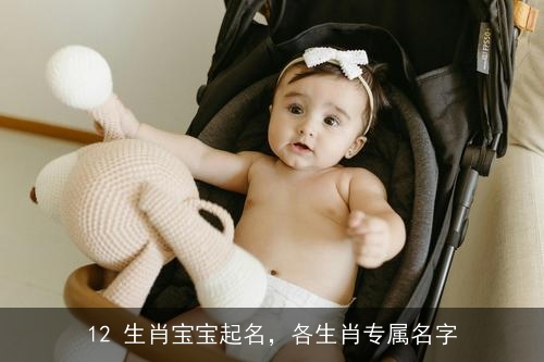 12 生肖宝宝起名，各生肖专属名字