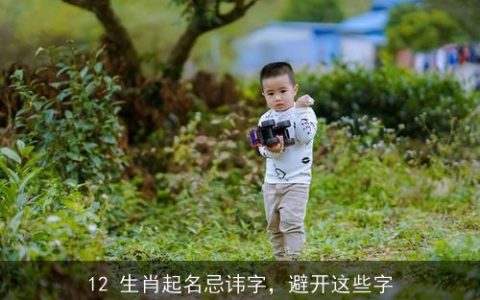 12 生肖起名忌讳字，避开这些字