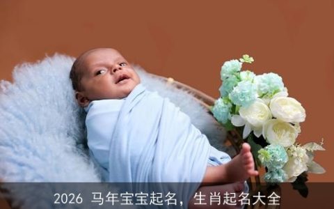 2026 马年宝宝起名，生肖起名大全