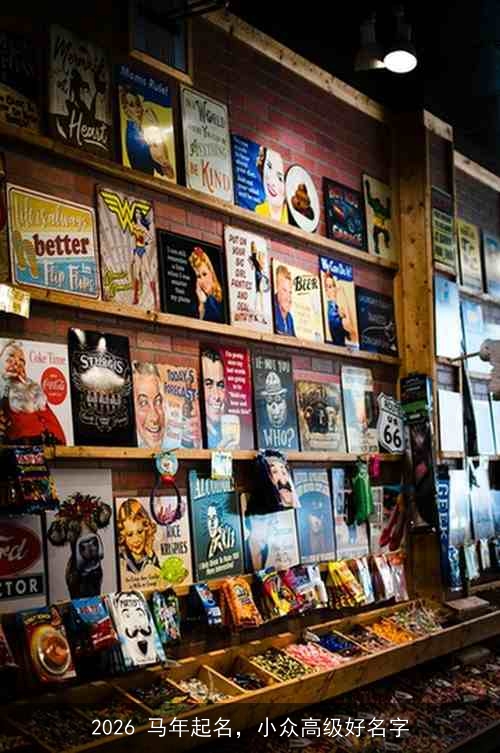 2026 马年起名，小众高级好名字