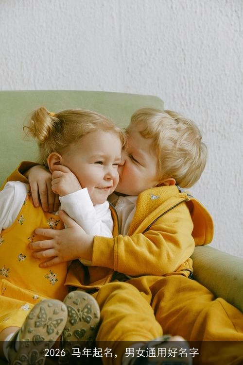 2026 马年起名，男女通用好名字