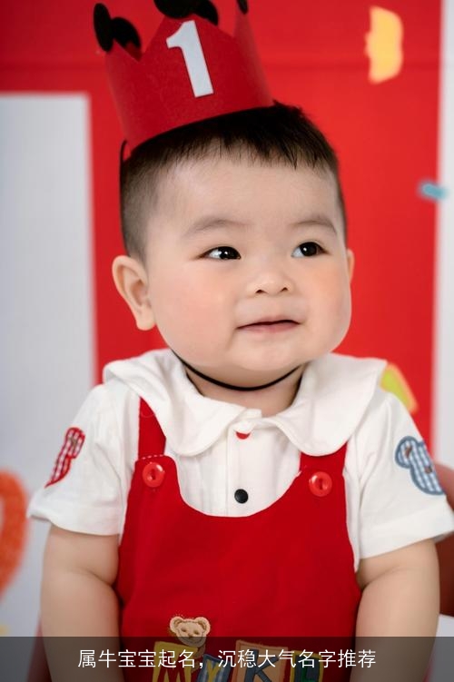 属牛宝宝起名，沉稳大气名字推荐