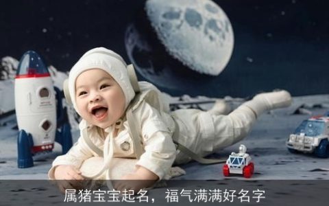 属猪宝宝起名，福气满满好名字