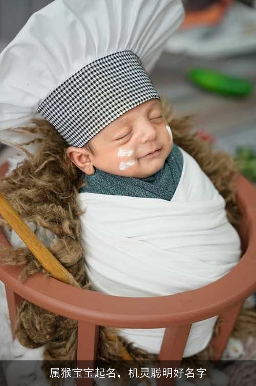 属猴宝宝起名，机灵聪明好名字