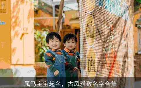 属马宝宝起名，古风雅致名字合集