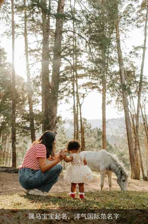 属马宝宝起名，洋气国际范名字