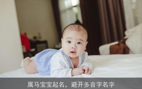 属马宝宝起名，避开多音字名字