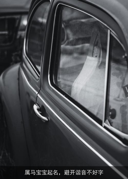 属马宝宝起名，避开谐音不好字