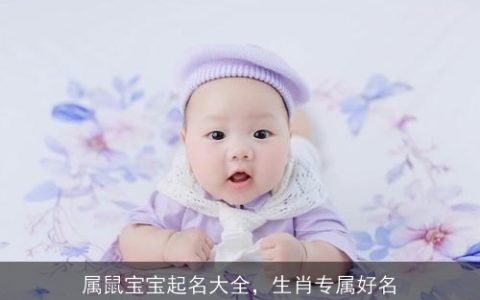 属鼠宝宝起名大全，生肖专属好名