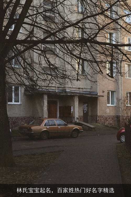 林氏宝宝起名，百家姓热门好名字精选