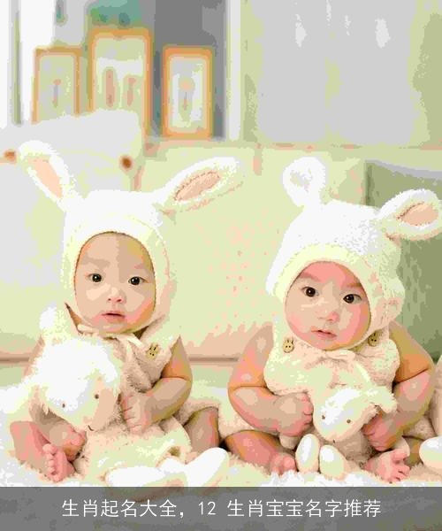 生肖起名大全，12 生肖宝宝名字推荐
