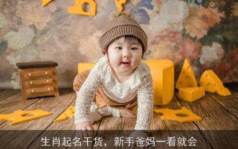 生肖起名干货，新手爸妈一看就会
