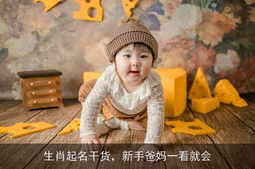 生肖起名干货，新手爸妈一看就会