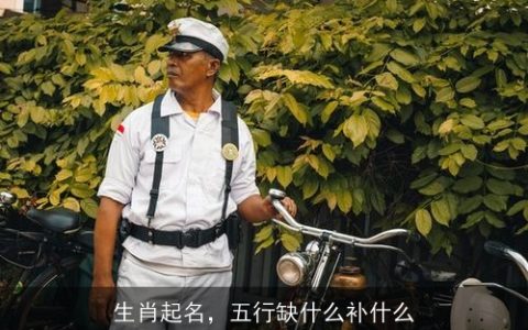 生肖起名，五行缺什么补什么