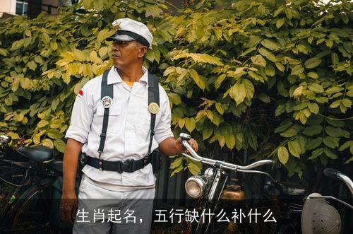 生肖起名，五行缺什么补什么