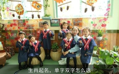 生肖起名，单字双字怎么选