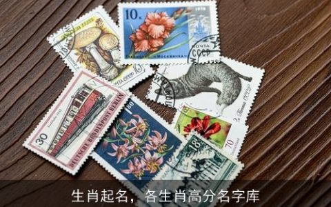 生肖起名，各生肖高分名字库