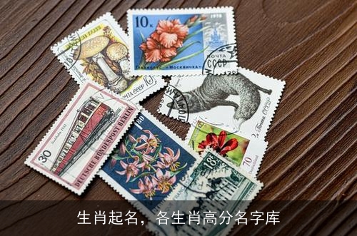 生肖起名，各生肖高分名字库