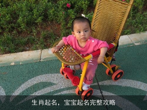 生肖起名，宝宝起名完整攻略
