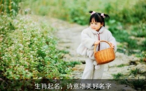 生肖起名，诗意唯美好名字