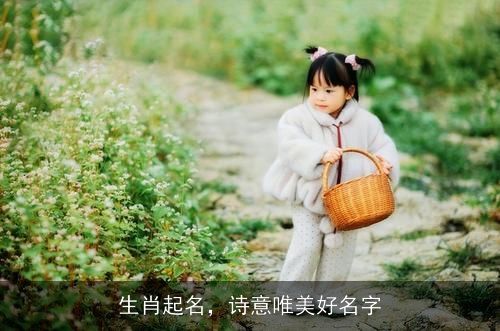 生肖起名，诗意唯美好名字