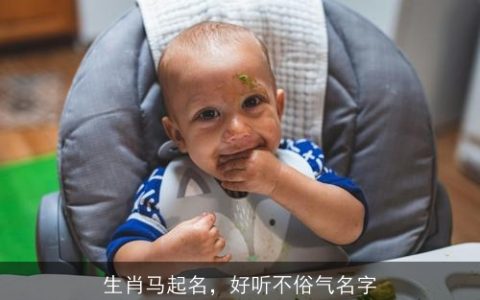 生肖马起名，好听不俗气名字