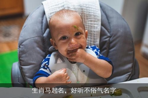 生肖马起名，好听不俗气名字
