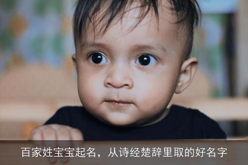 百家姓宝宝起名，从诗经楚辞里取的好名字