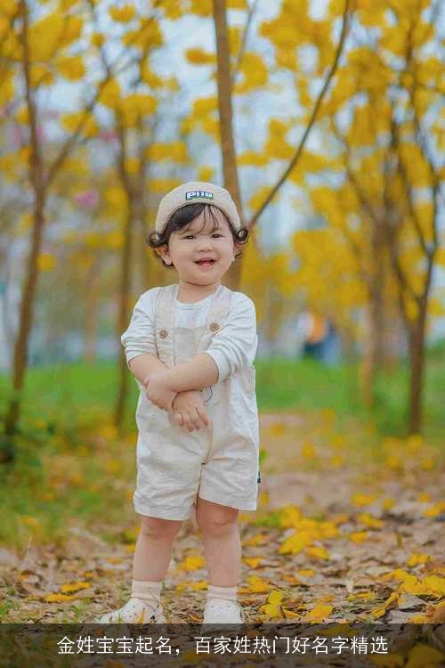 金姓宝宝起名，百家姓热门好名字精选