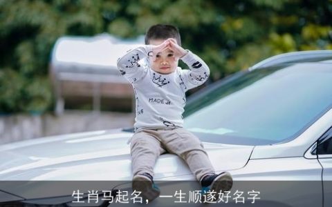 生肖马起名，一生顺遂好名字
