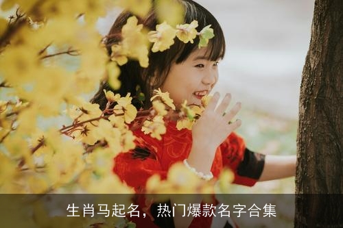 生肖马起名，热门爆款名字合集