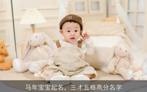 马年宝宝起名，三才五格高分名字