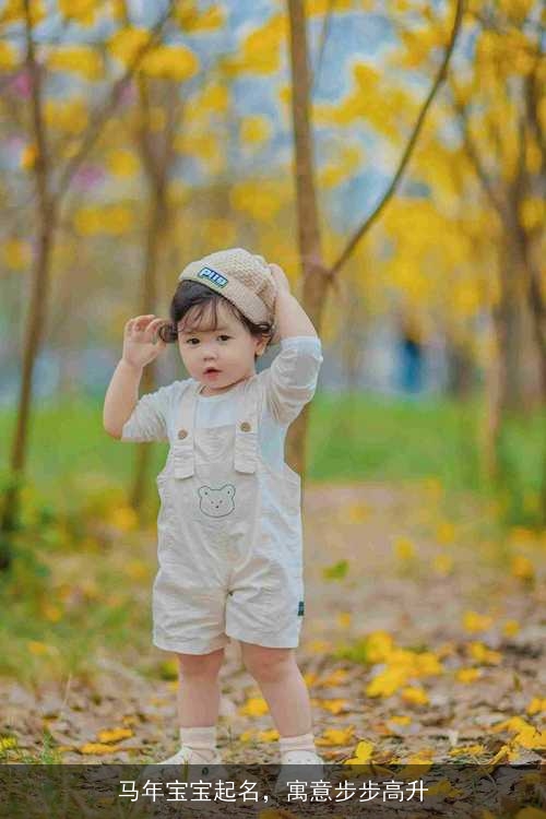 马年宝宝起名，寓意步步高升