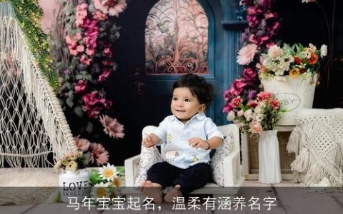 马年宝宝起名，温柔有涵养名字