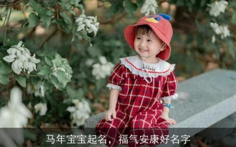 马年宝宝起名，福气安康好名字