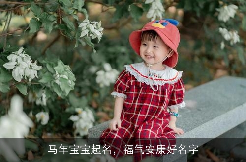 马年宝宝起名，福气安康好名字