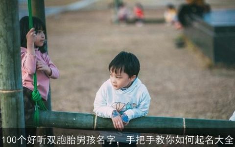 100个好听双胞胎男孩名字，手把手教你如何起名大全