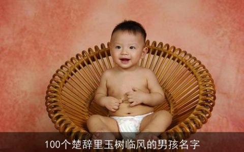 100个楚辞里玉树临风的男孩名字