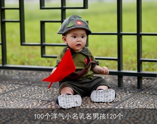 100个洋气小名乳名男孩120个