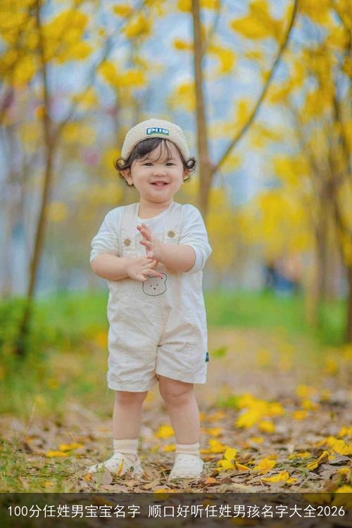 100分任姓男宝宝名字 顺口好听任姓男孩名字大全2026